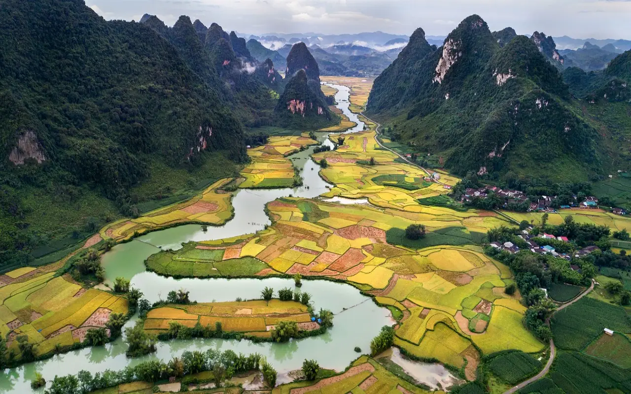 ﻿Vietnam
